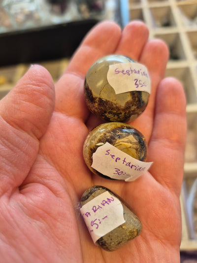 Septarian (draksten)
