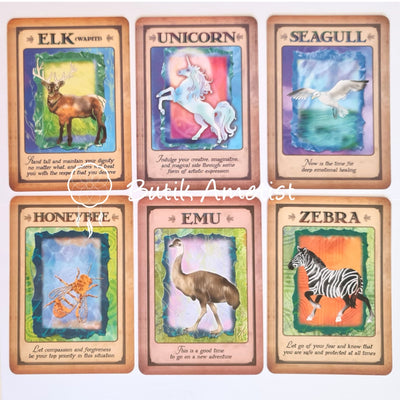 Messages from your animal spirit guides