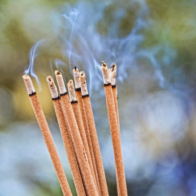 Masala White Sage - ekologiska rökelsestickor (vit salvia)